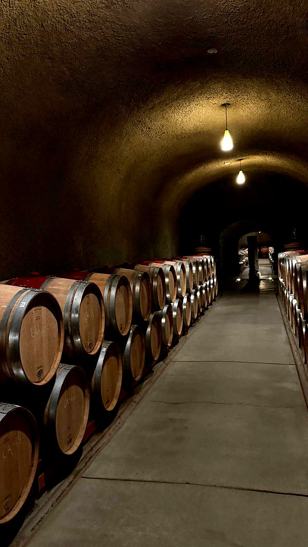 emilyelizabbeth image ~ Altpins