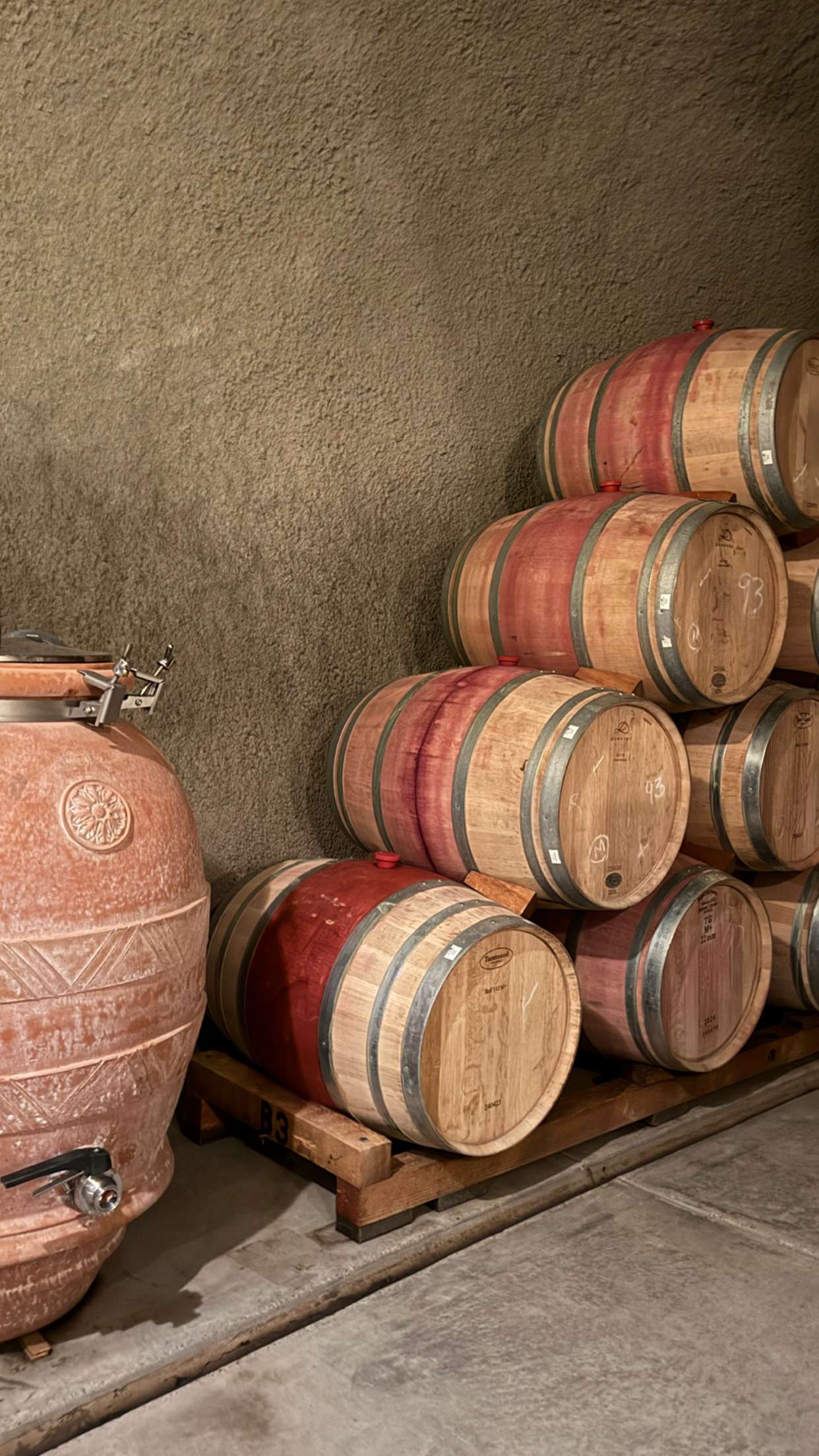 emilyelizabbeth snapchat image archive image