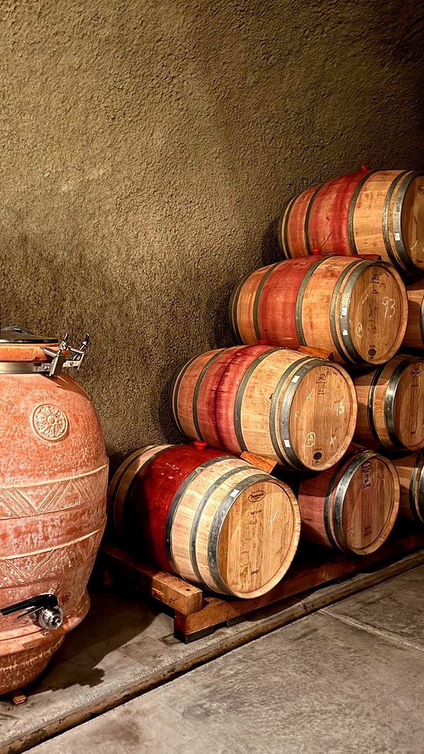 emilyelizabbeth image ~ Altpins