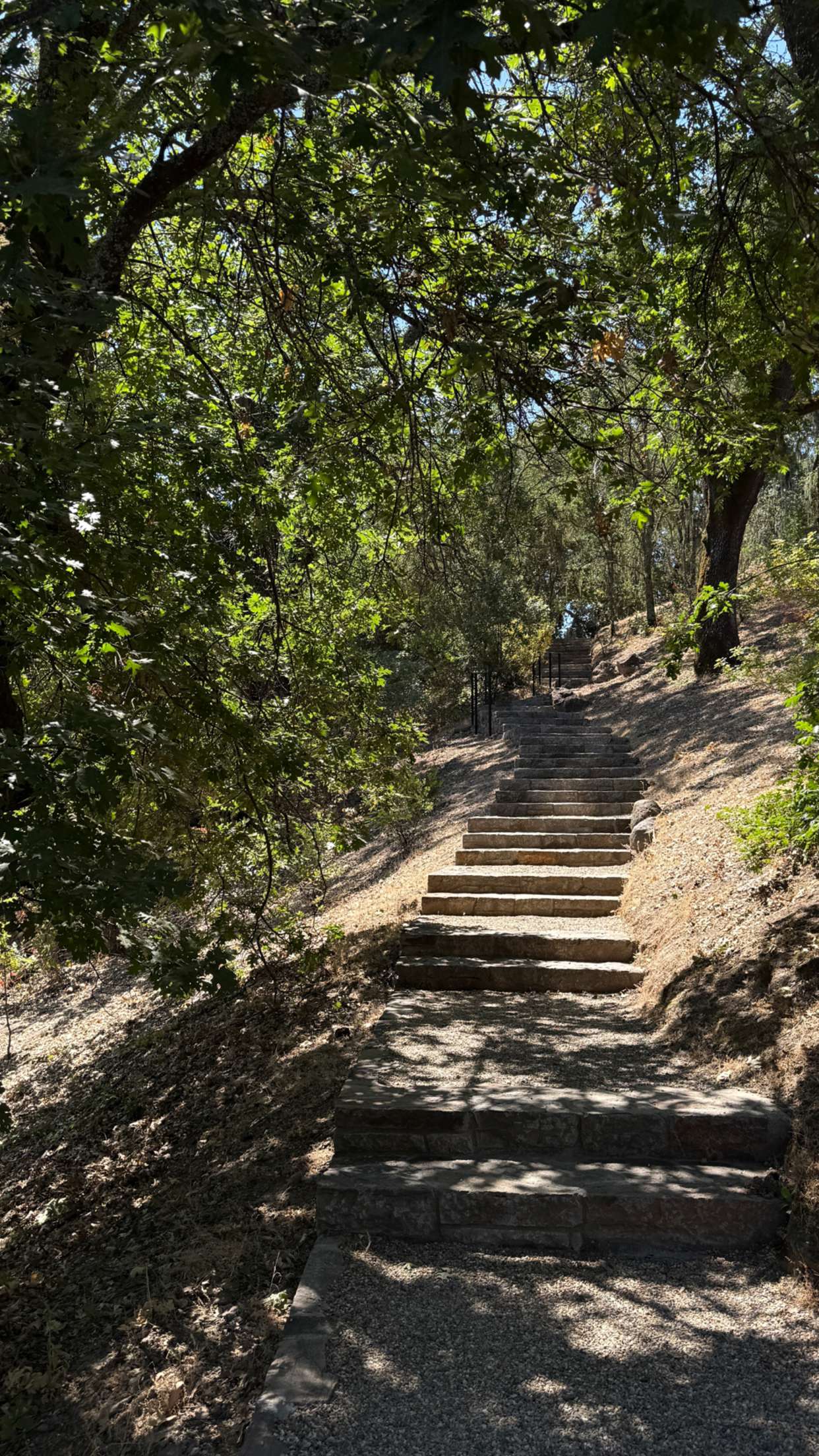 emilyelizabbeth snapchat image archive image