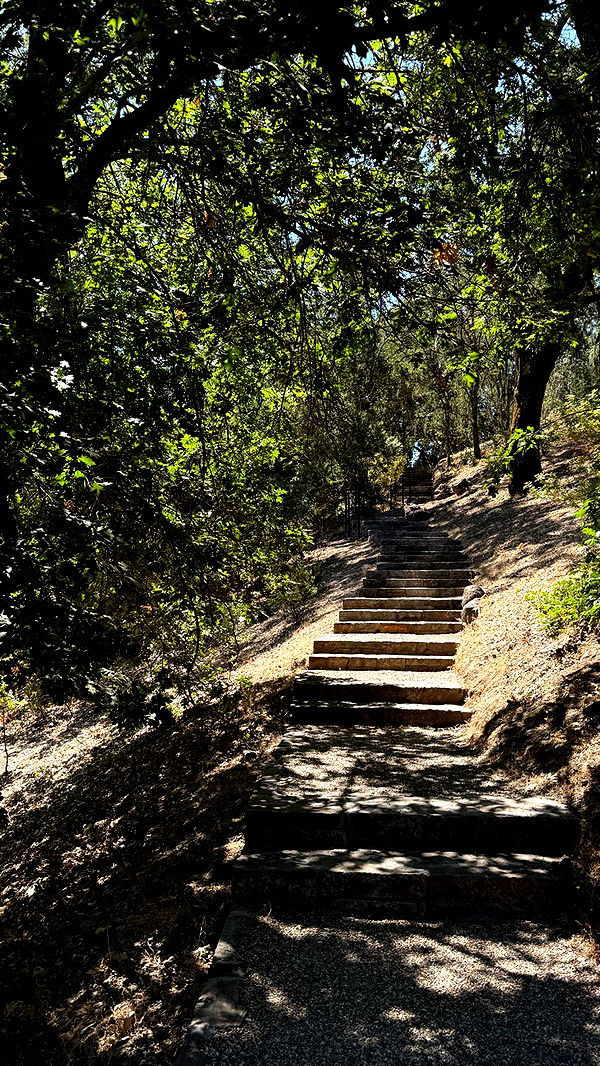 emilyelizabbeth image ~ Altpins