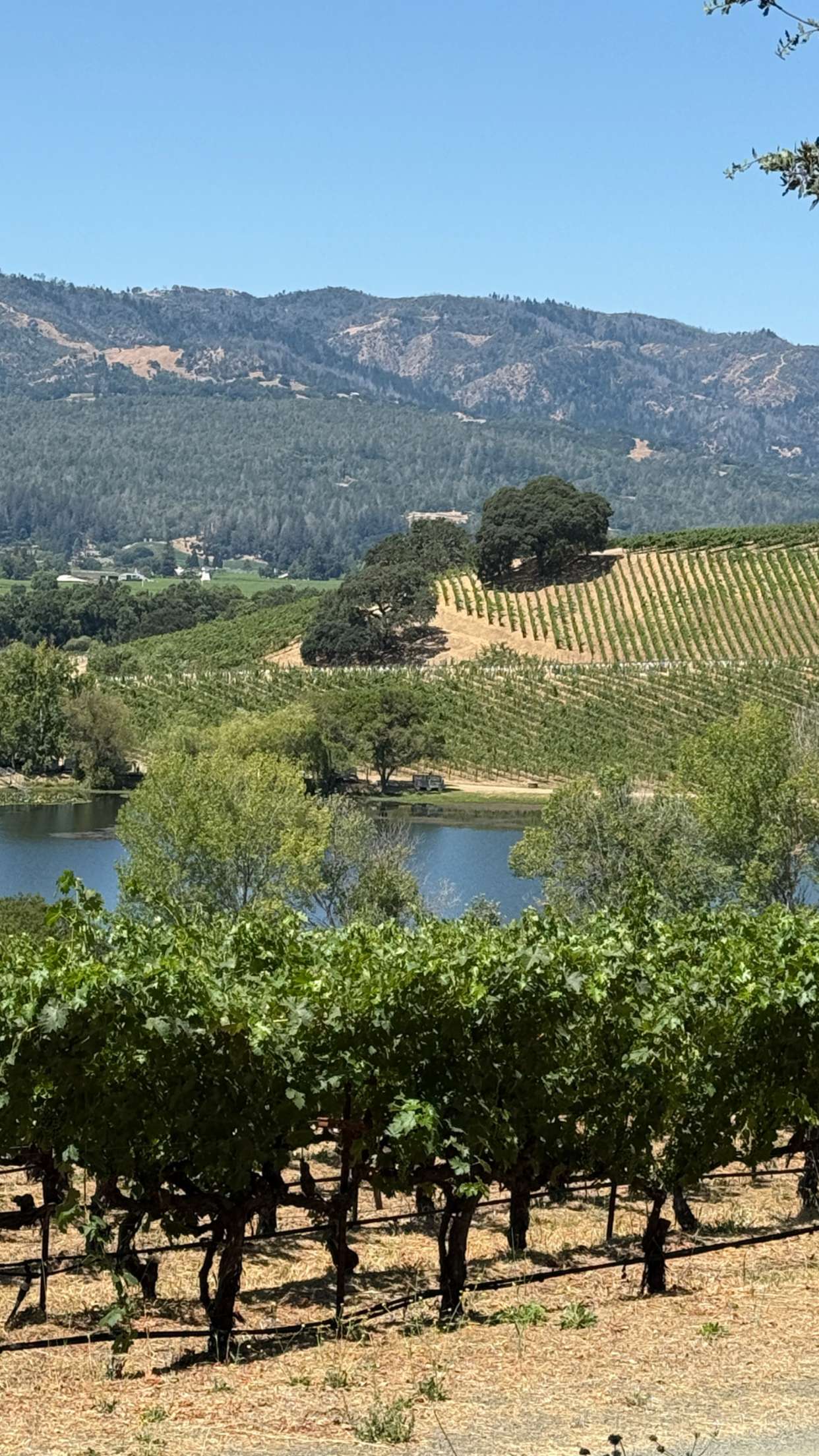 emilyelizabbeth snapchat image archive image