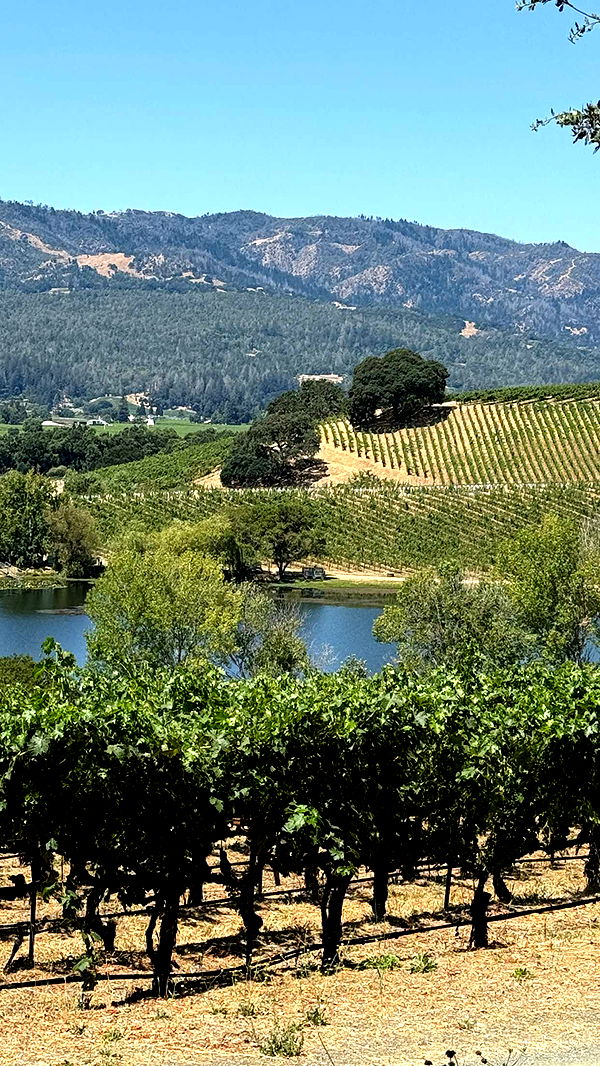 emilyelizabbeth image ~ Altpins