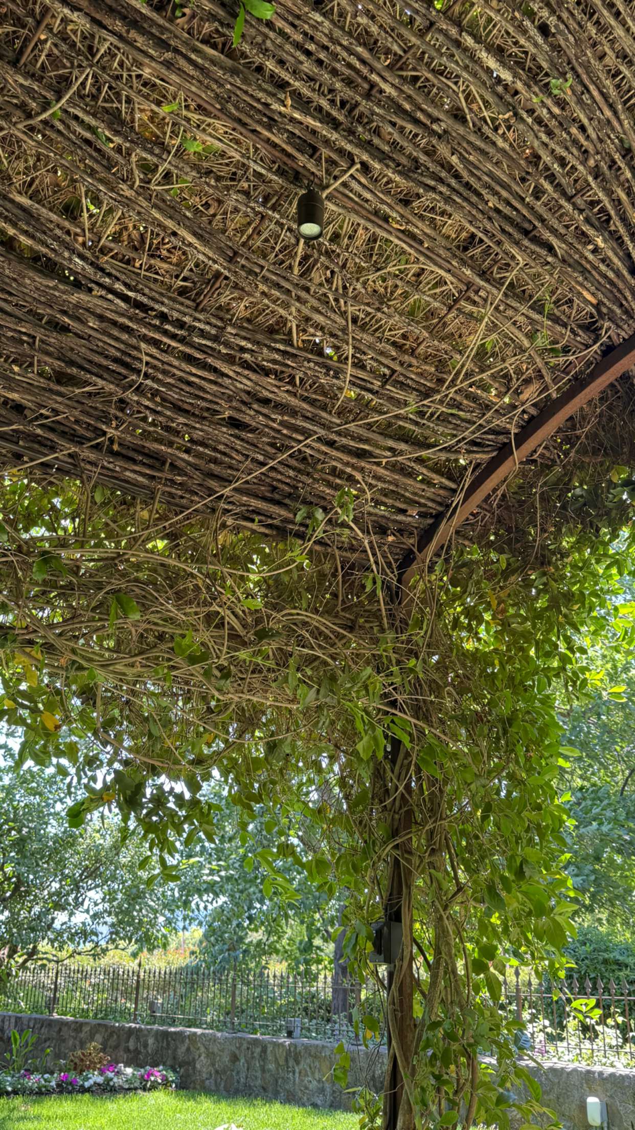 emilyelizabbeth snapchat image archive image