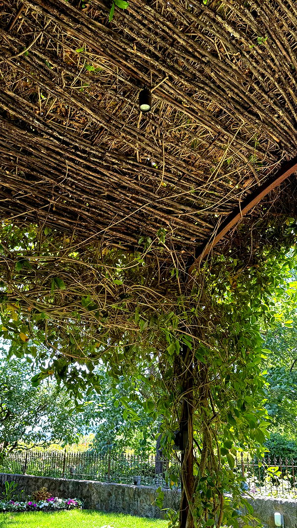 emilyelizabbeth image ~ Altpins