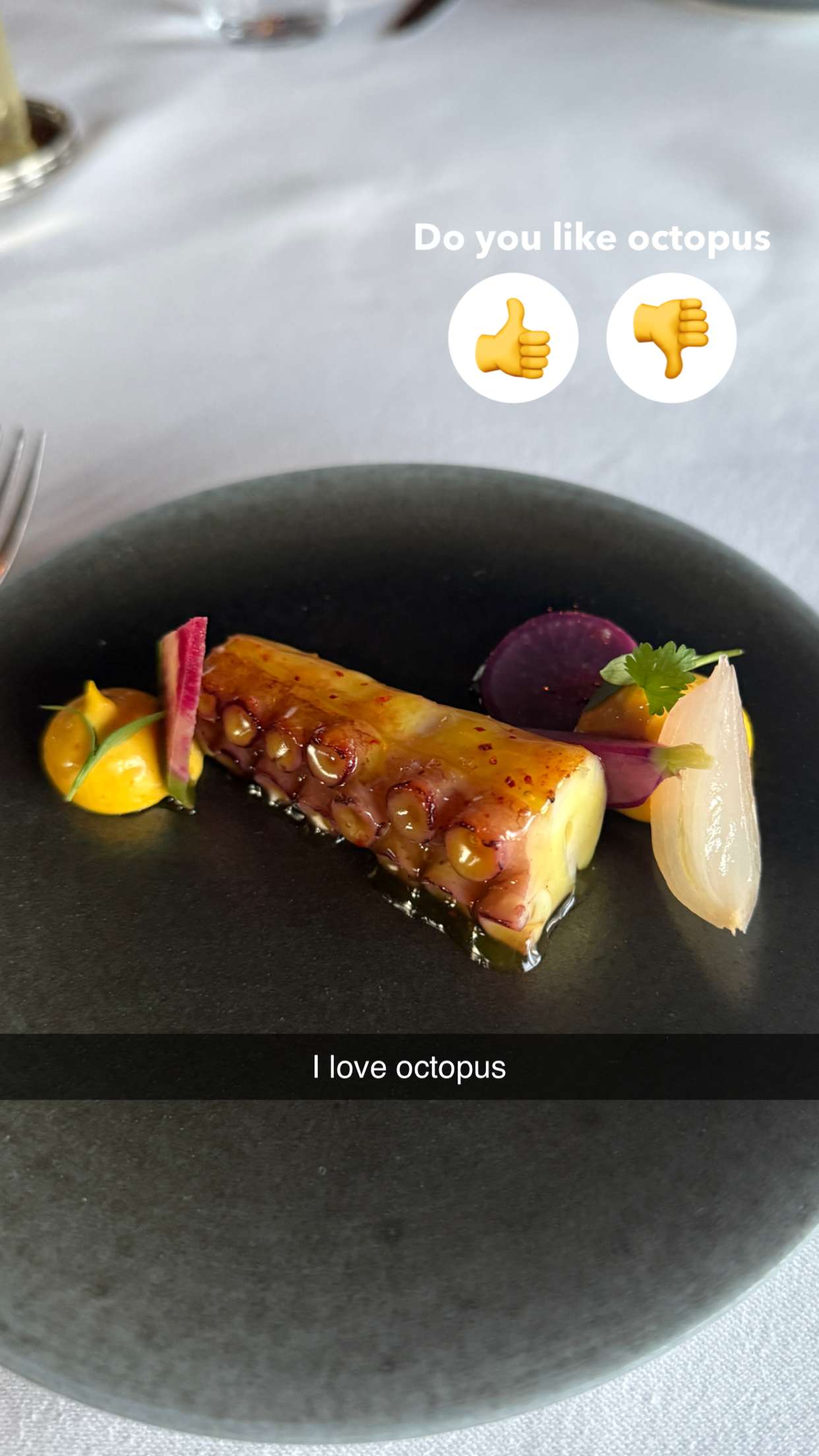 emilyelizabbeth snapchat image archive image