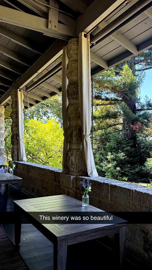 emilyelizabbeth image ~ Altpins