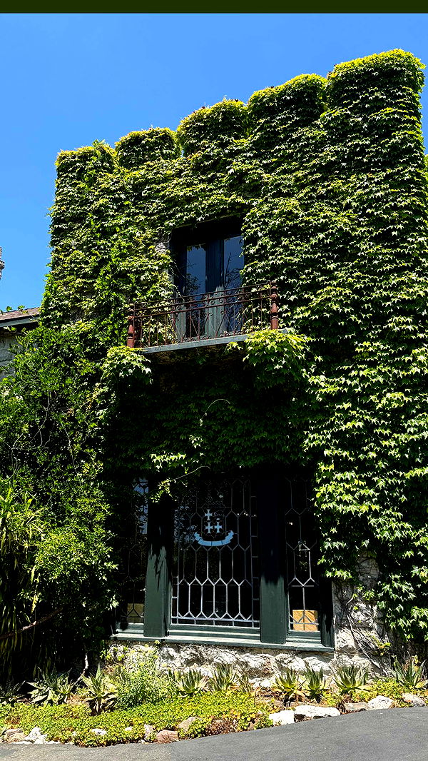 emilyelizabbeth image ~ Altpins