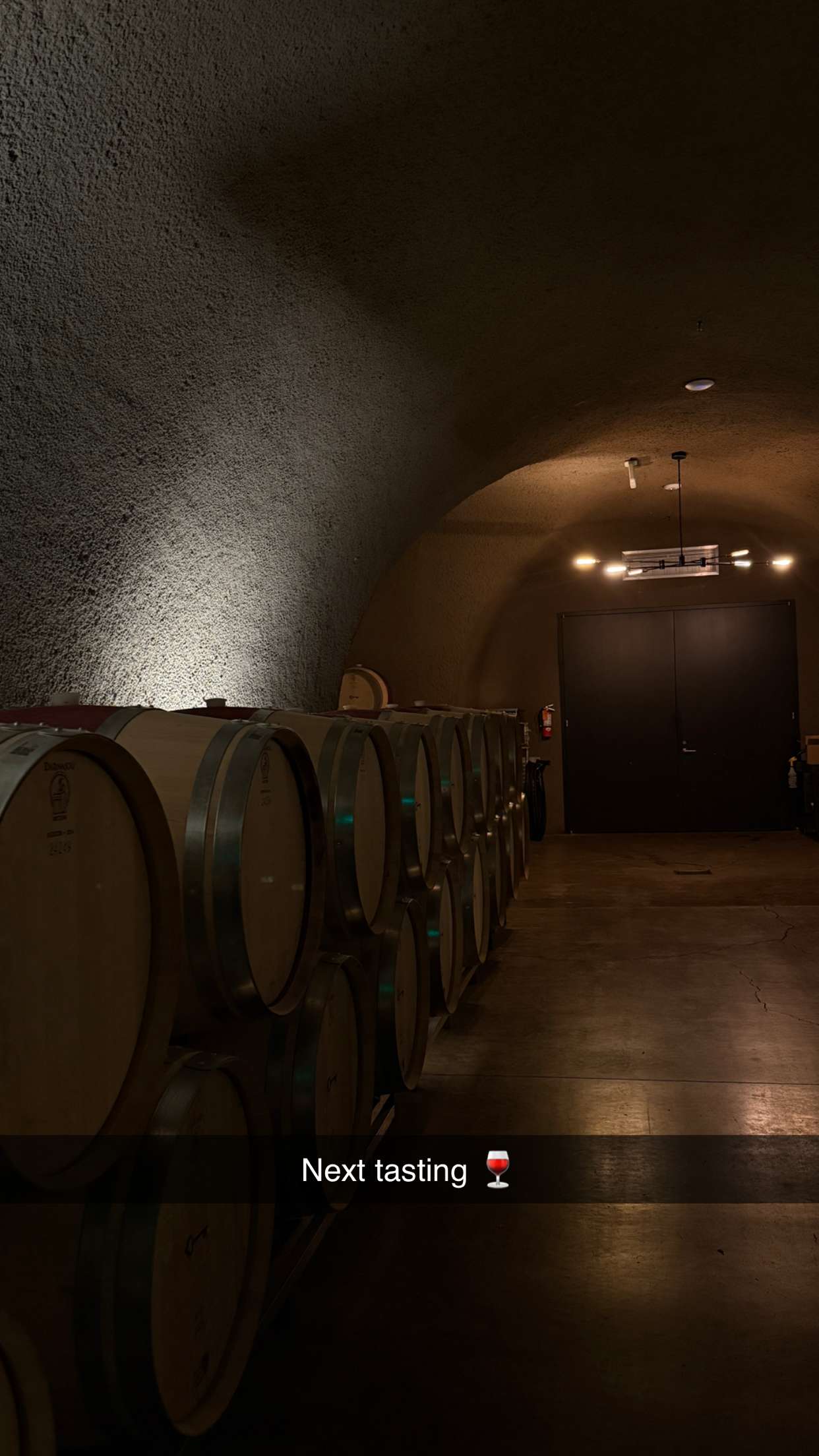 emilyelizabbeth snapchat image archive image