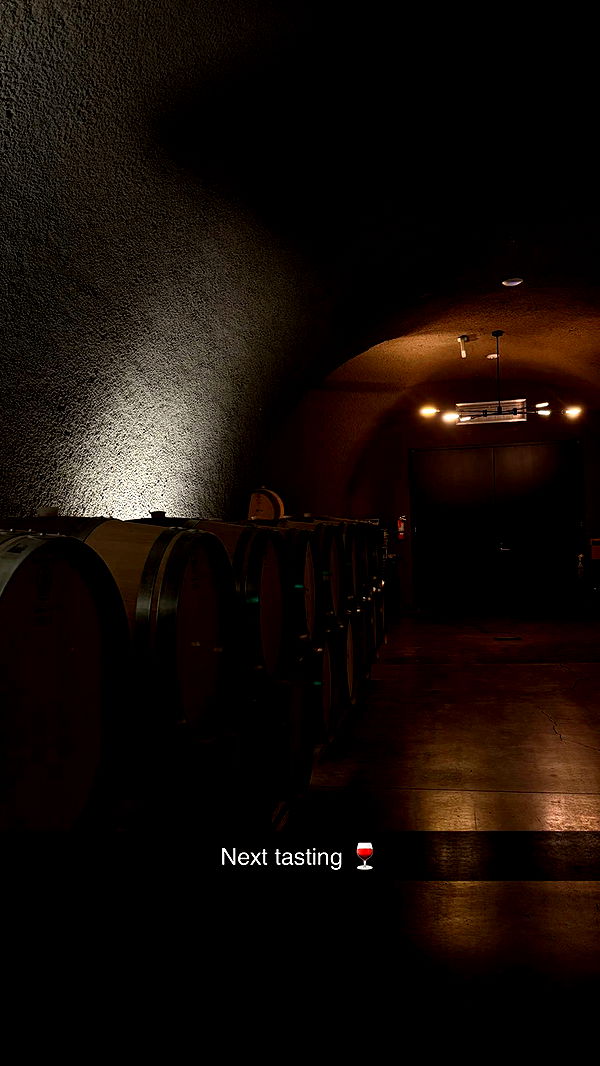 emilyelizabbeth image ~ Altpins