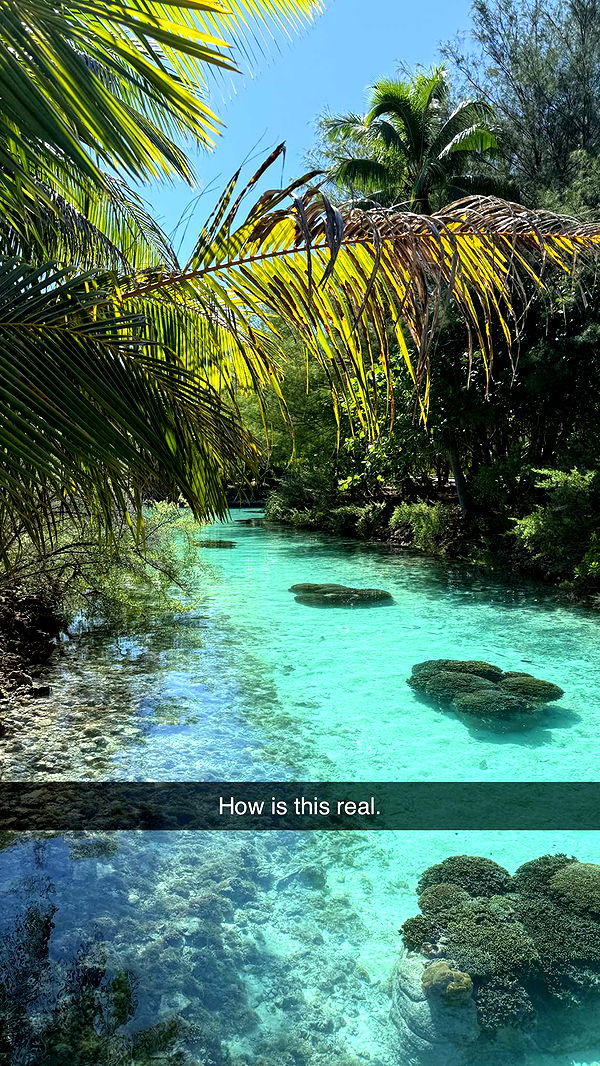 emilyelizabbeth image ~ Altpins