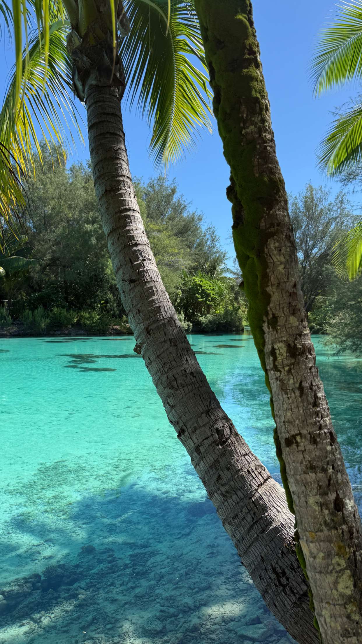 emilyelizabbeth snapchat image archive image