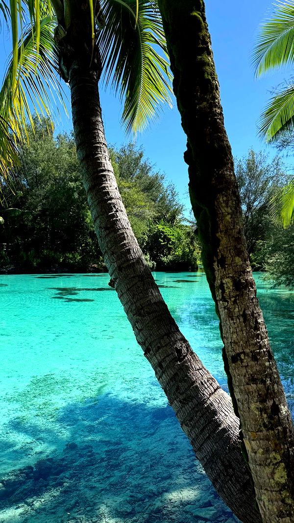 emilyelizabbeth image ~ Altpins