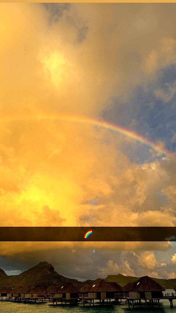 emilyelizabbeth image ~ Altpins