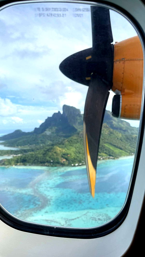 emilyelizabbeth image ~ Altpins