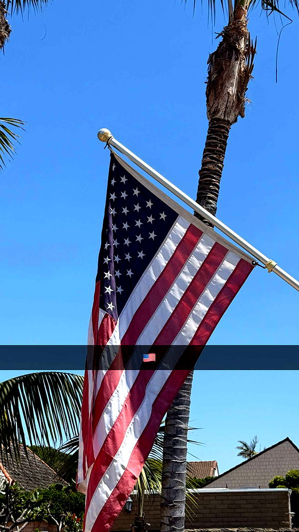 emilyelizabbeth image ~ Altpins