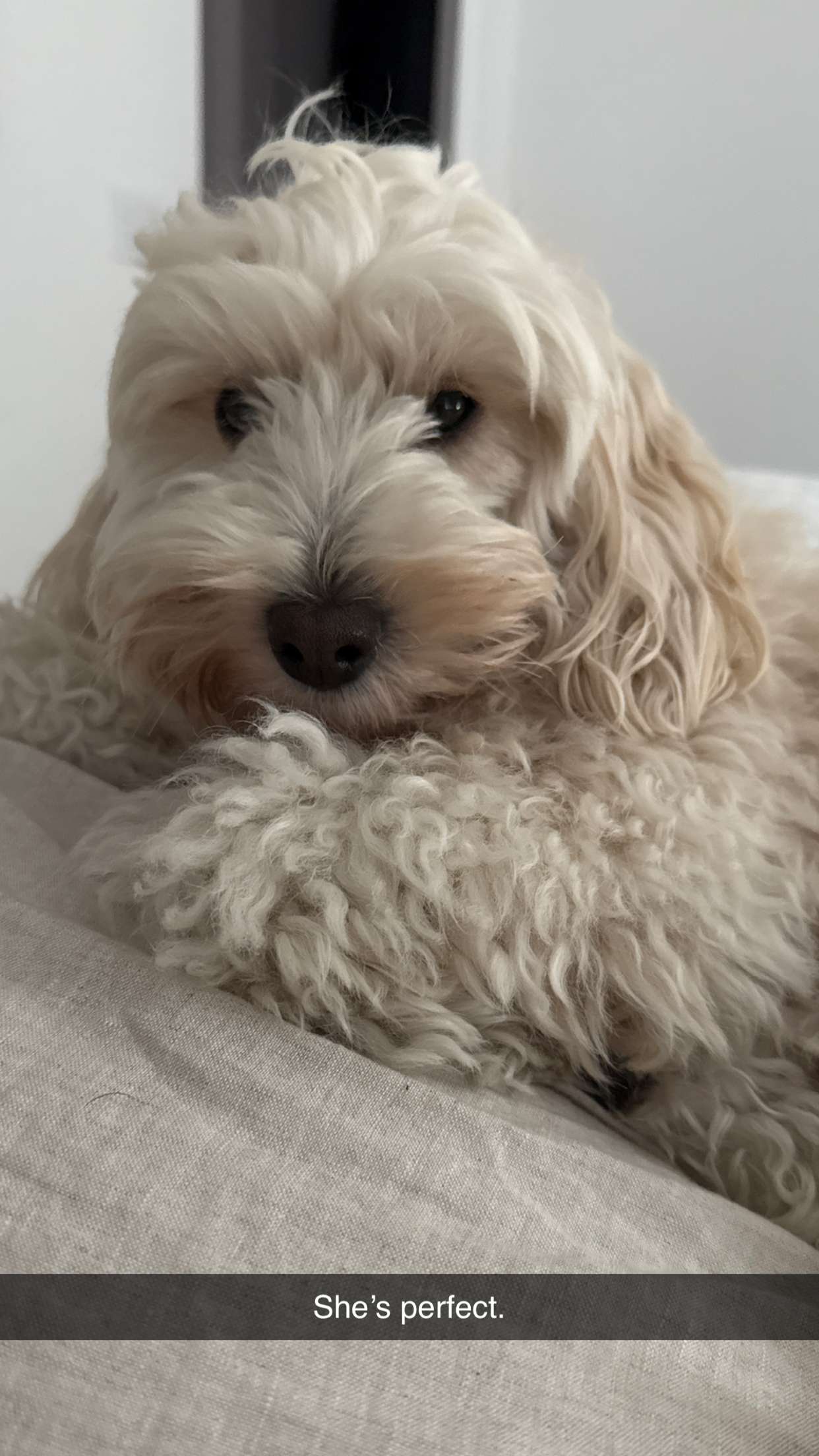 emilyelizabbeth snapchat image archive image