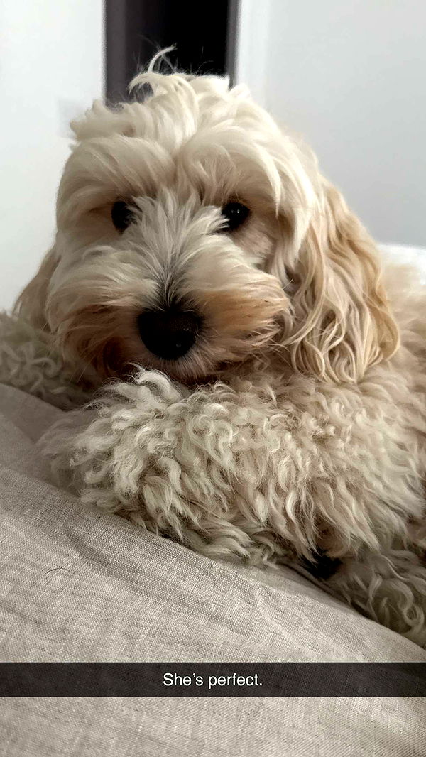 emilyelizabbeth image ~ Altpins