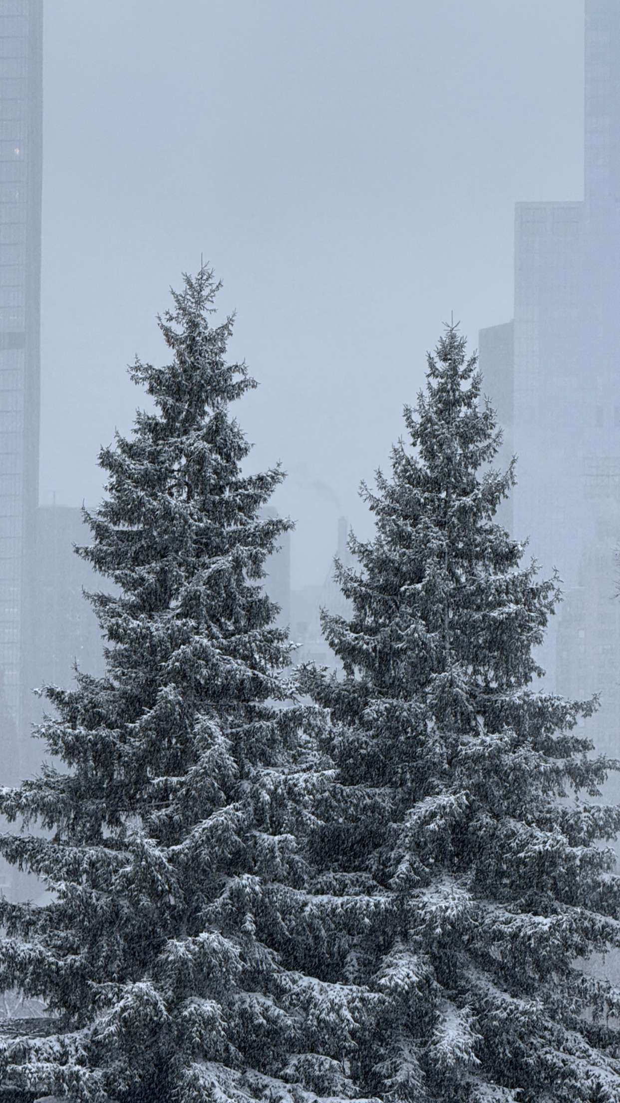 emilyelizabbeth snapchat image archive image