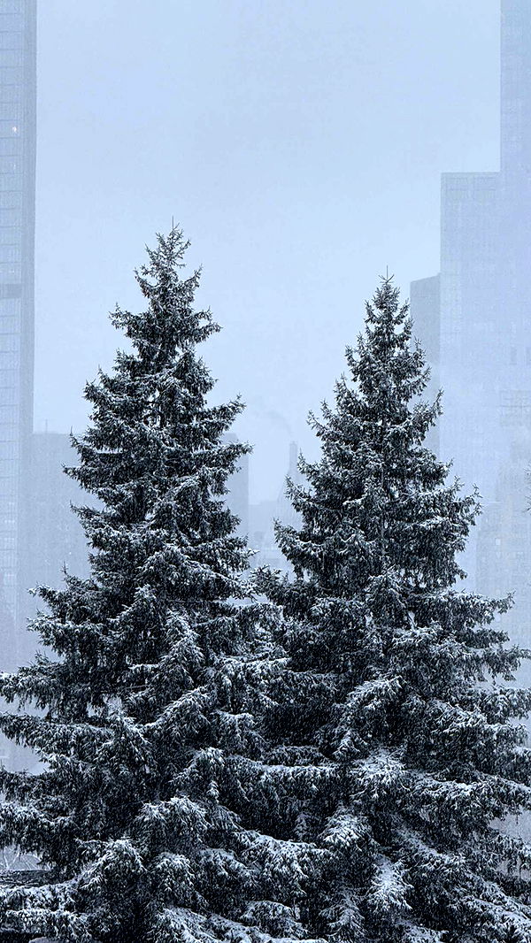 emilyelizabbeth image ~ Altpins