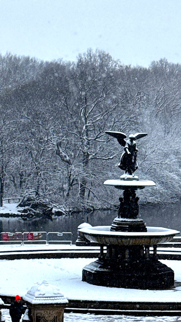 emilyelizabbeth image ~ Altpins