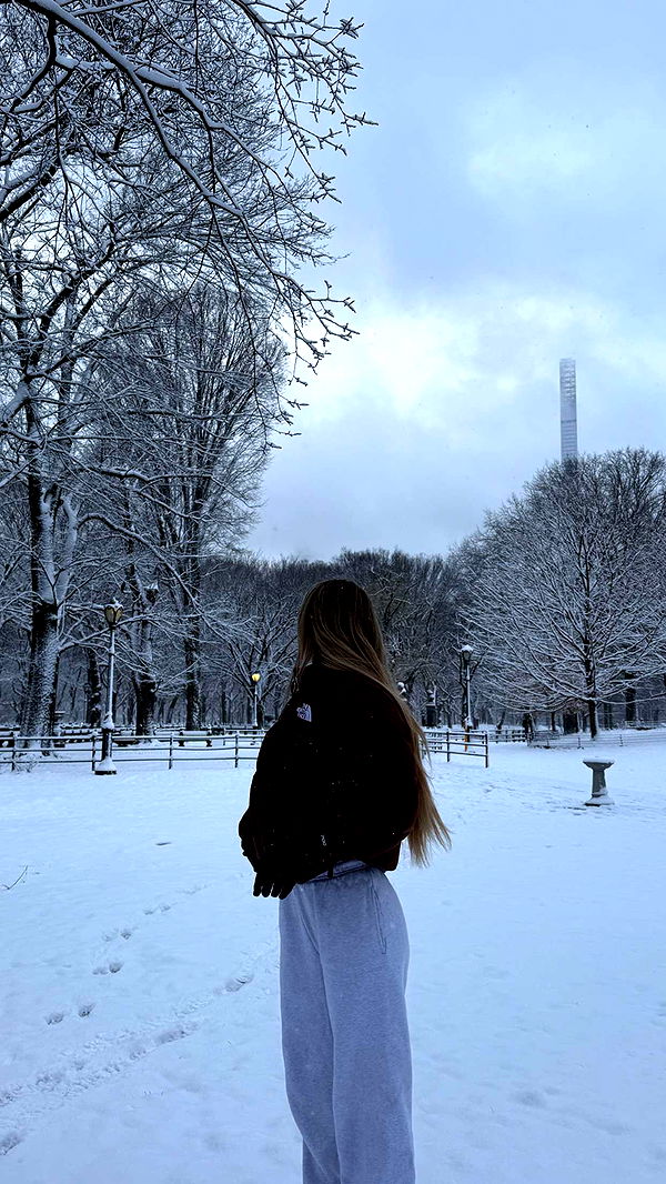 emilyelizabbeth image ~ Altpins