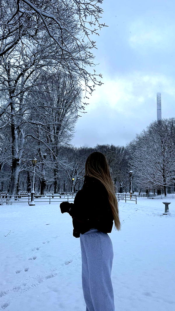 emilyelizabbeth image ~ Altpins