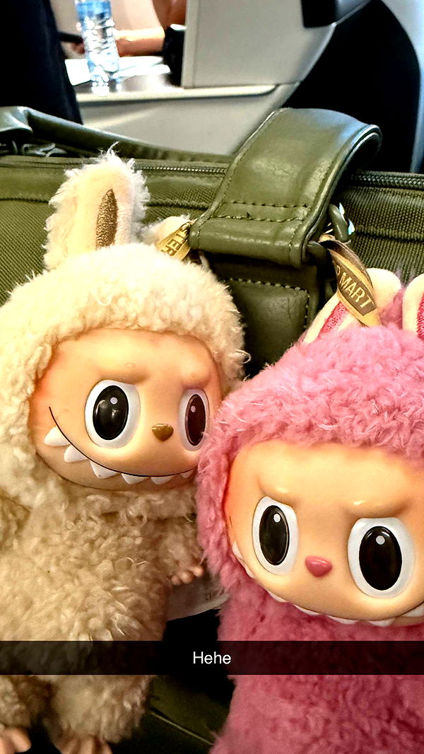 emilyelizabbeth image ~ Altpins