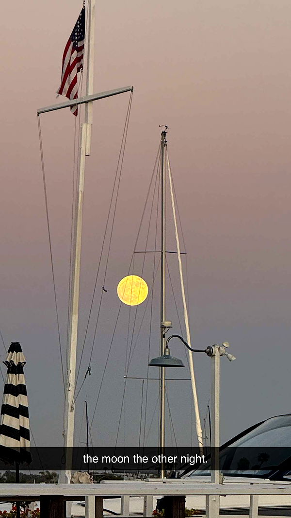 emilyelizabbeth image ~ Altpins