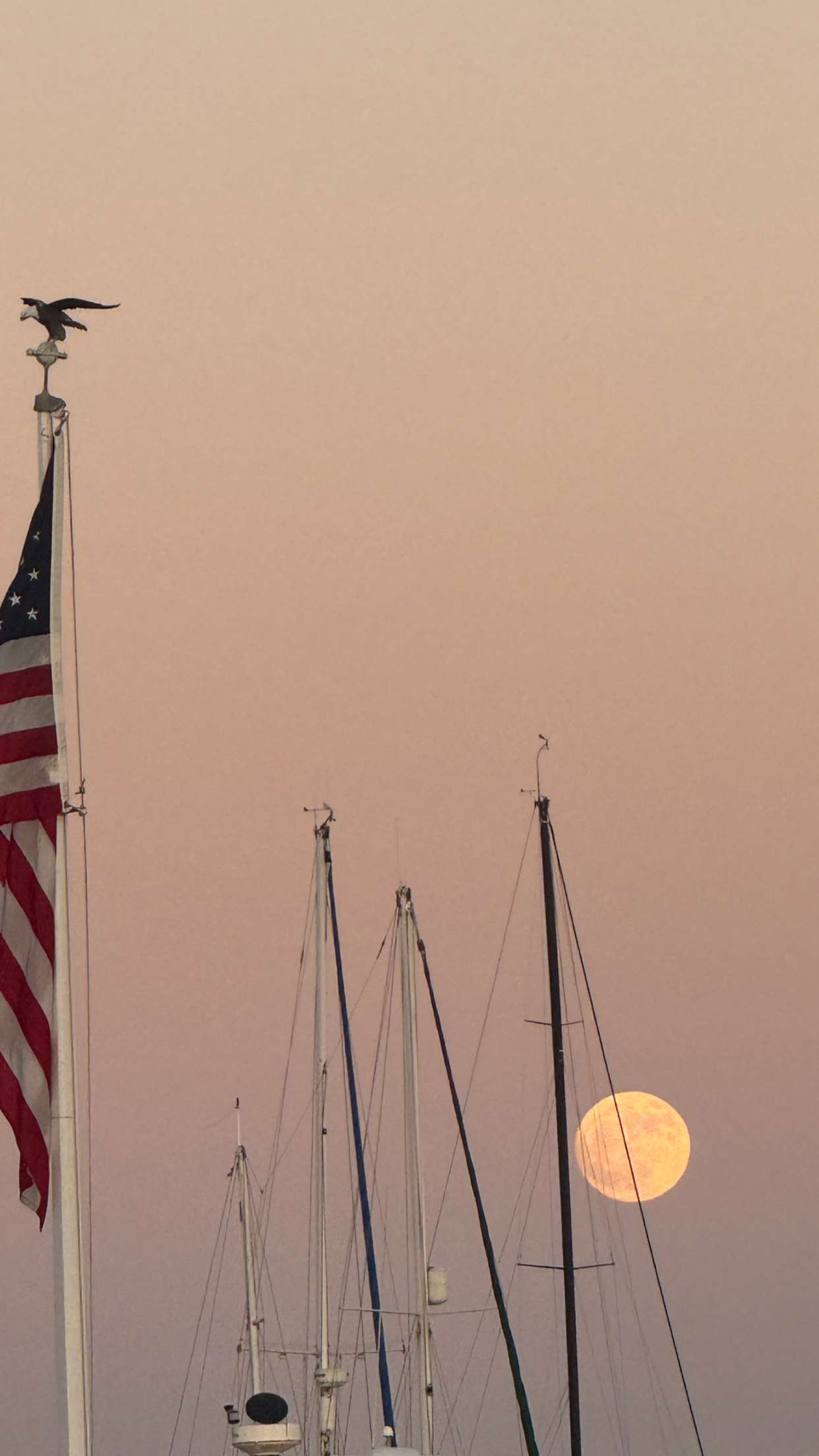 emilyelizabbeth snapchat image archive image