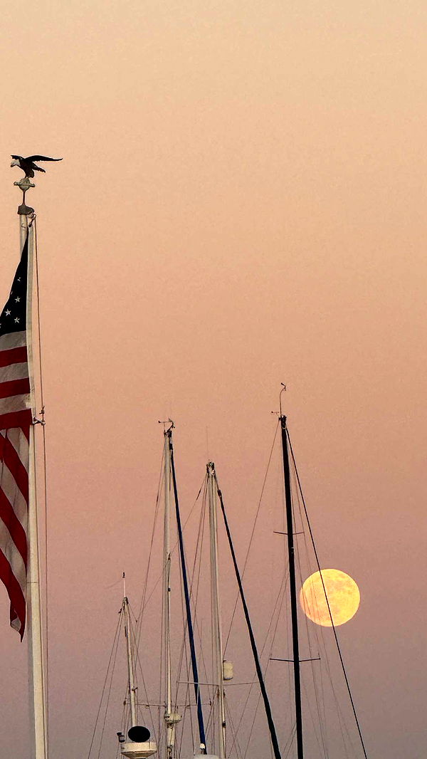 emilyelizabbeth image ~ Altpins