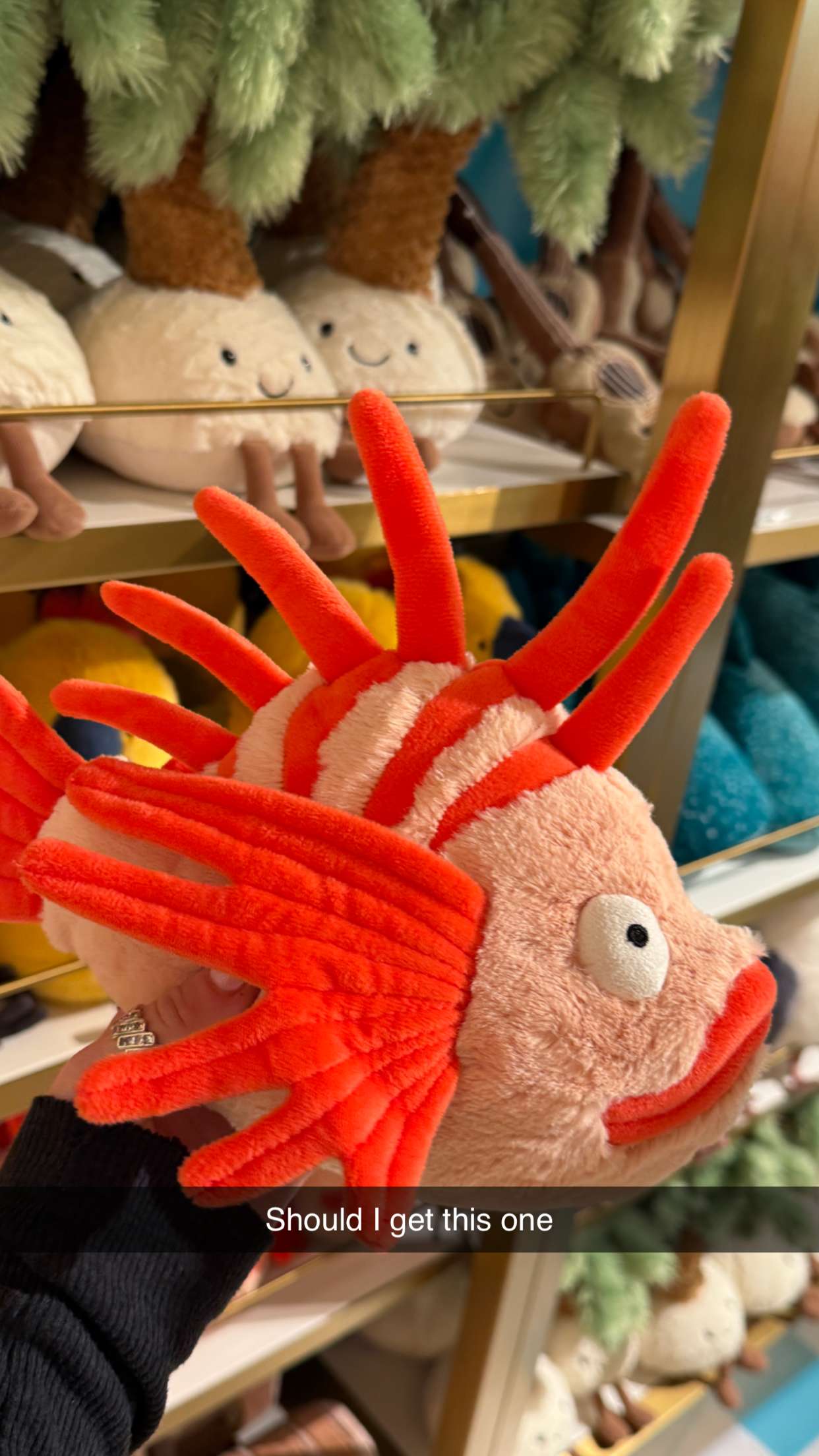 emilyelizabbeth snapchat image archive image