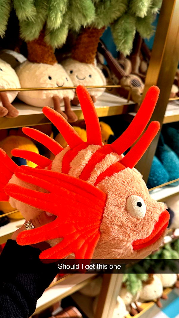 emilyelizabbeth image ~ Altpins