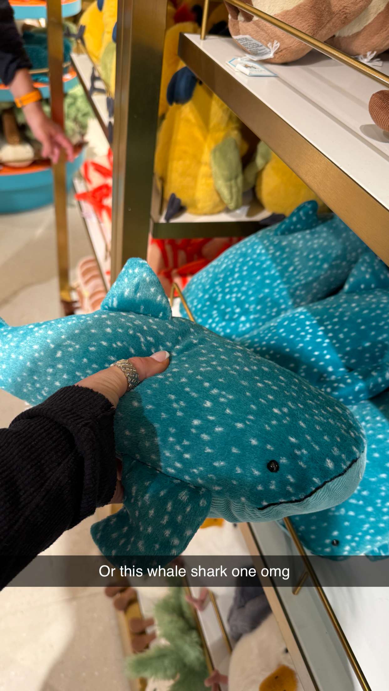 emilyelizabbeth snapchat image archive image