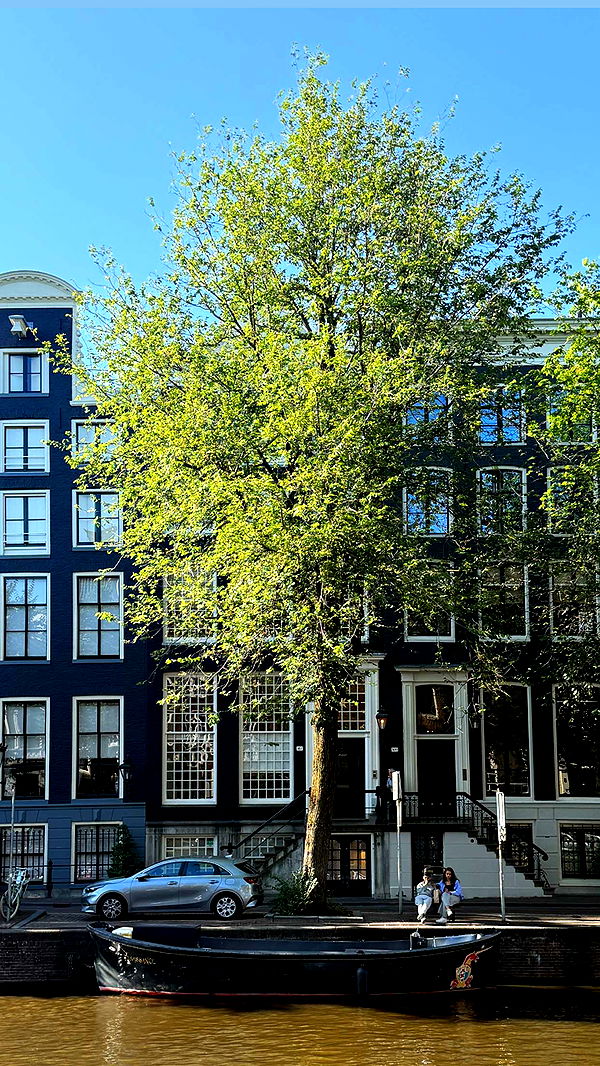 emilyelizabbeth image ~ Altpins