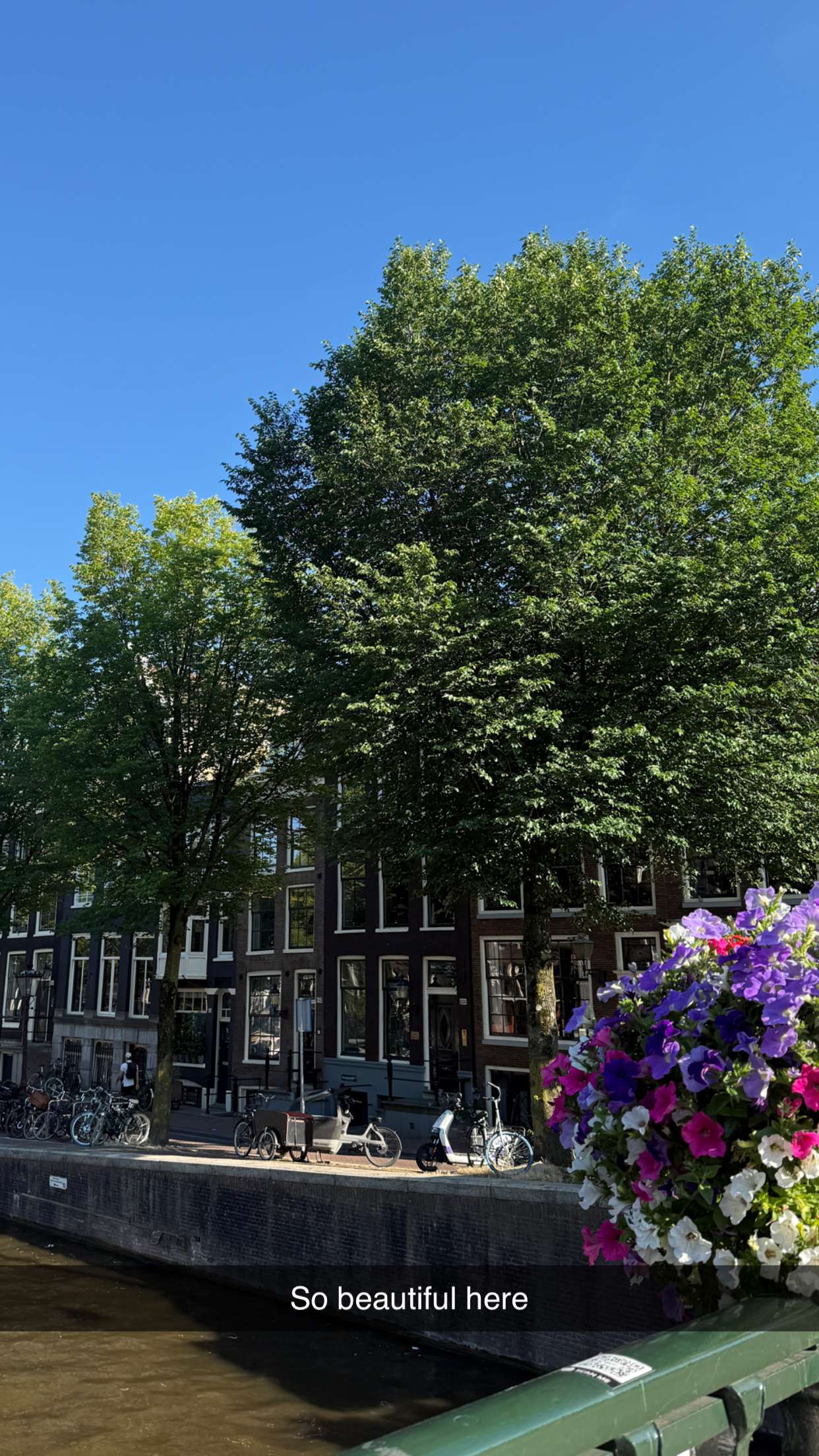 emilyelizabbeth snapchat image archive image