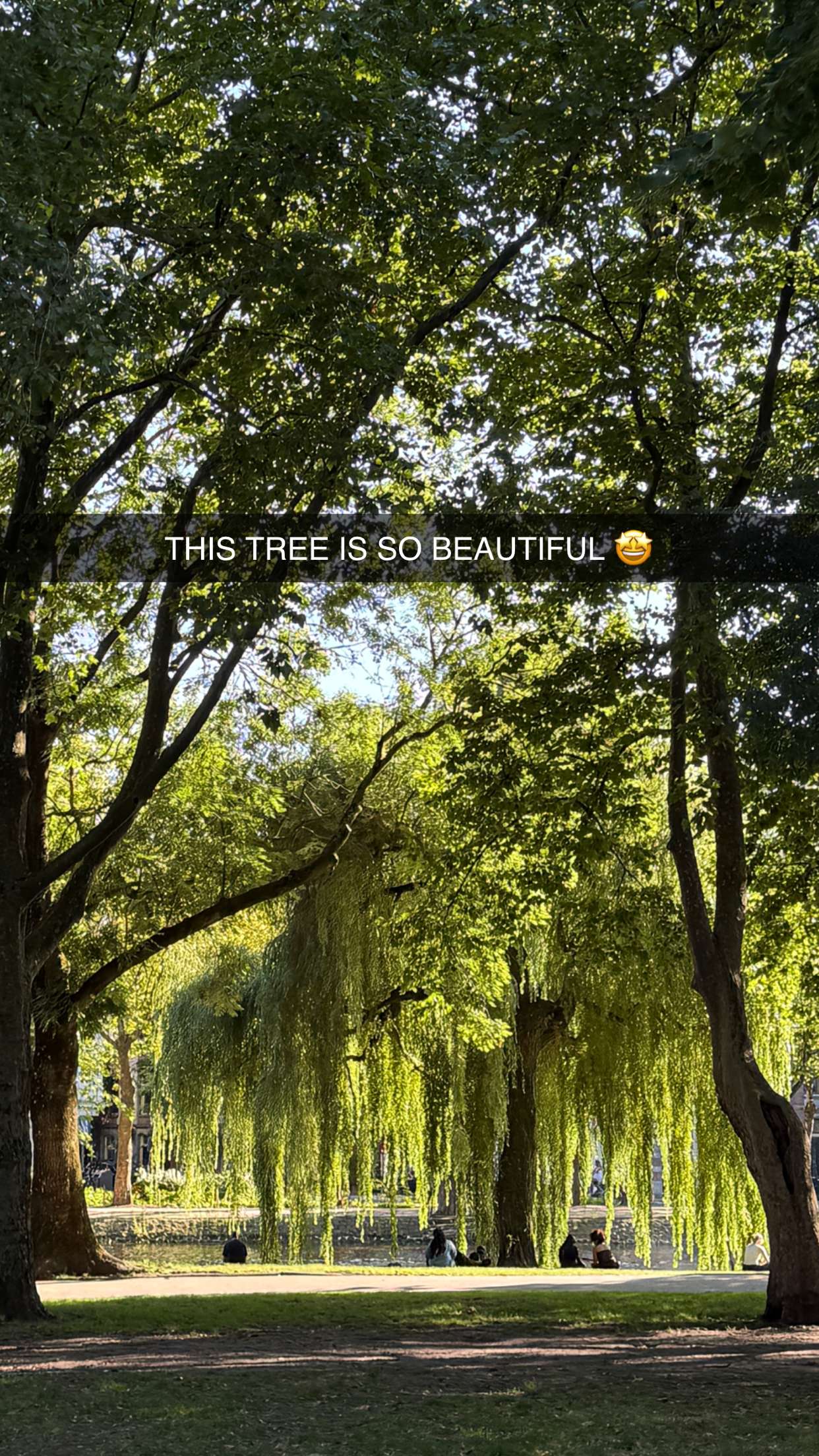 emilyelizabbeth snapchat image archive image