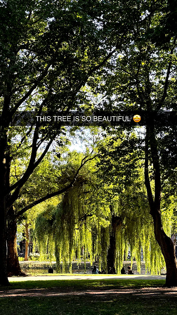 emilyelizabbeth image ~ Altpins