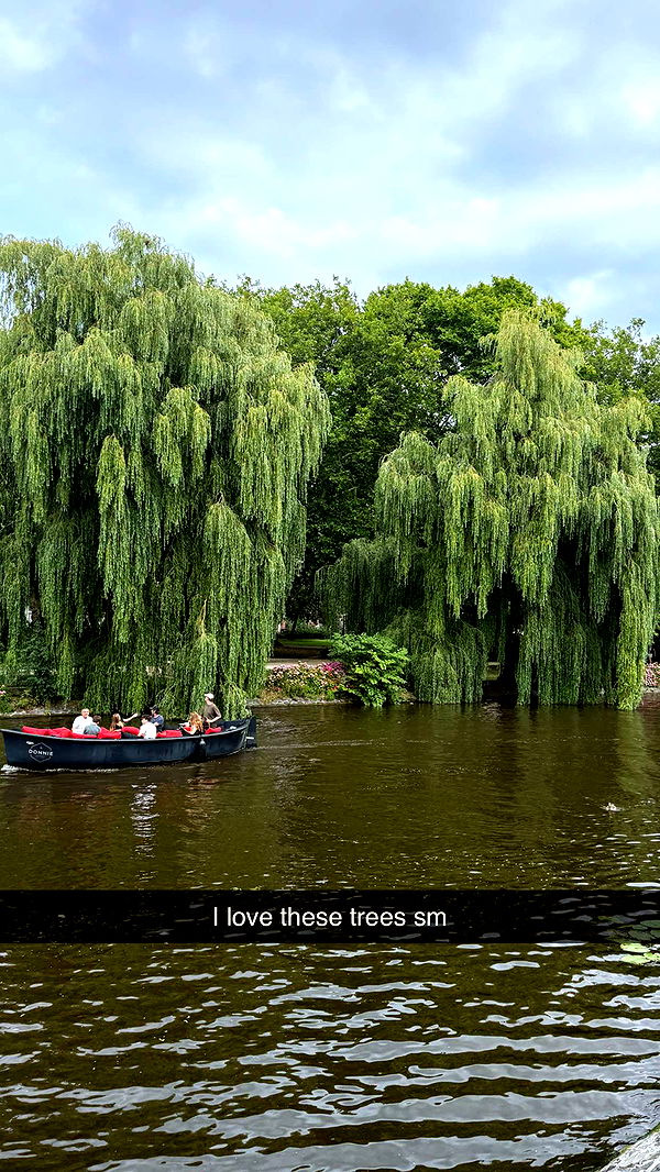 emilyelizabbeth image ~ Altpins