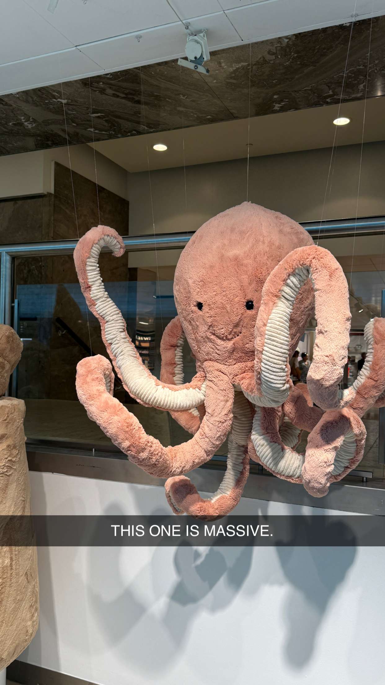 emilyelizabbeth snapchat image archive image