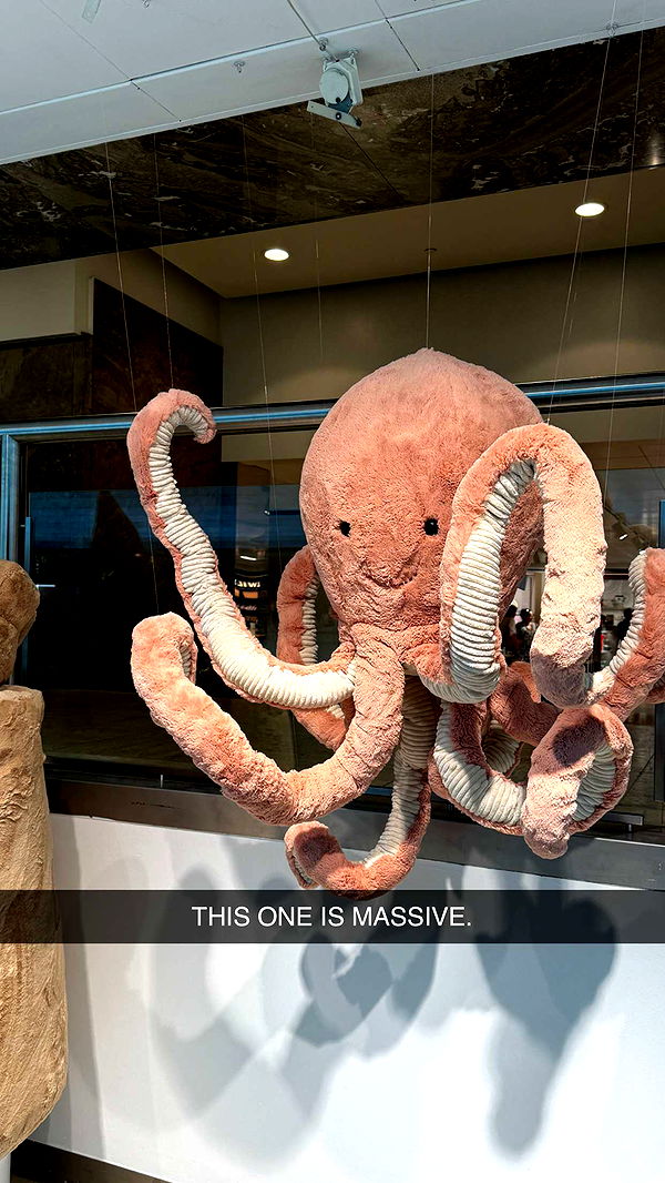 emilyelizabbeth image ~ Altpins