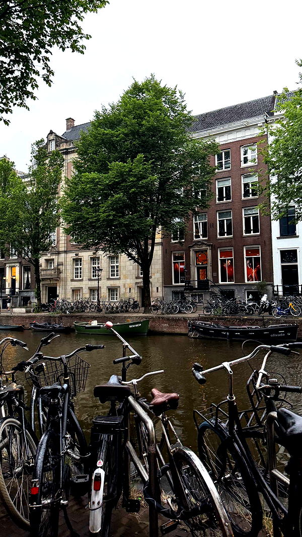 emilyelizabbeth image ~ Altpins