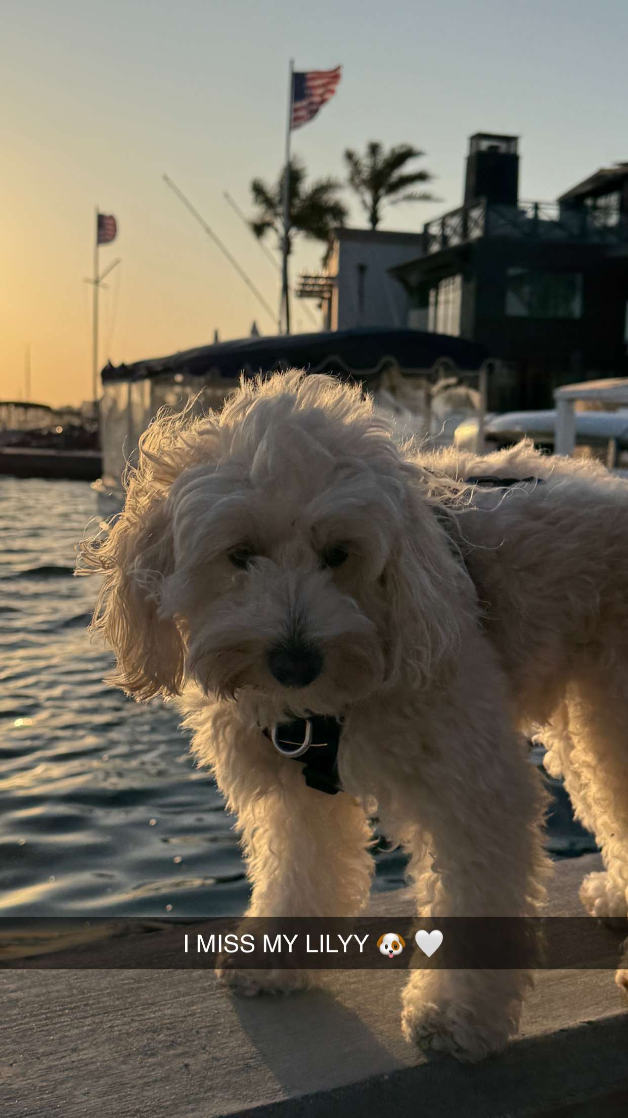 emilyelizabbeth snapchat image archive image