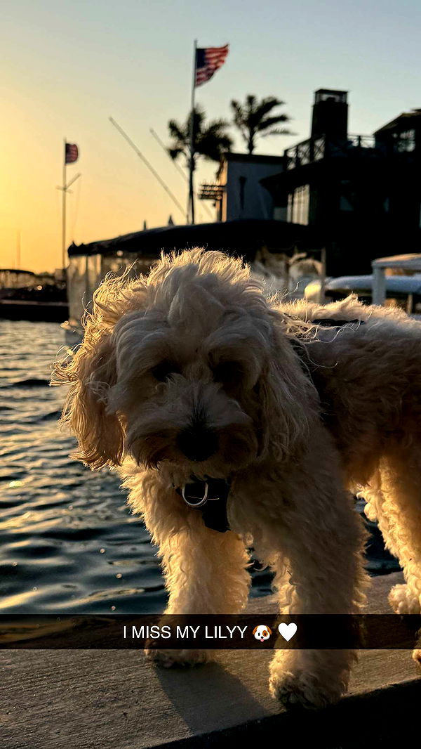 emilyelizabbeth image ~ Altpins