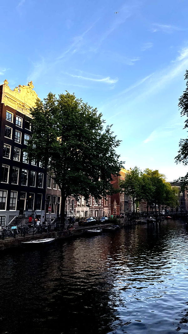 emilyelizabbeth image ~ Altpins