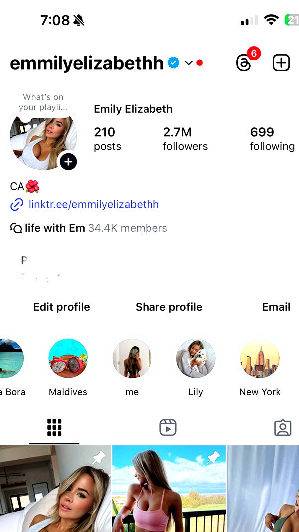 emilyelizabbeth image ~ Altpins