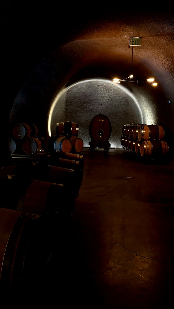 emilyelizabbeth image ~ Altpins