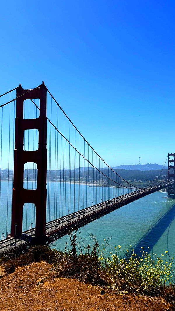 emilyelizabbeth image ~ Altpins