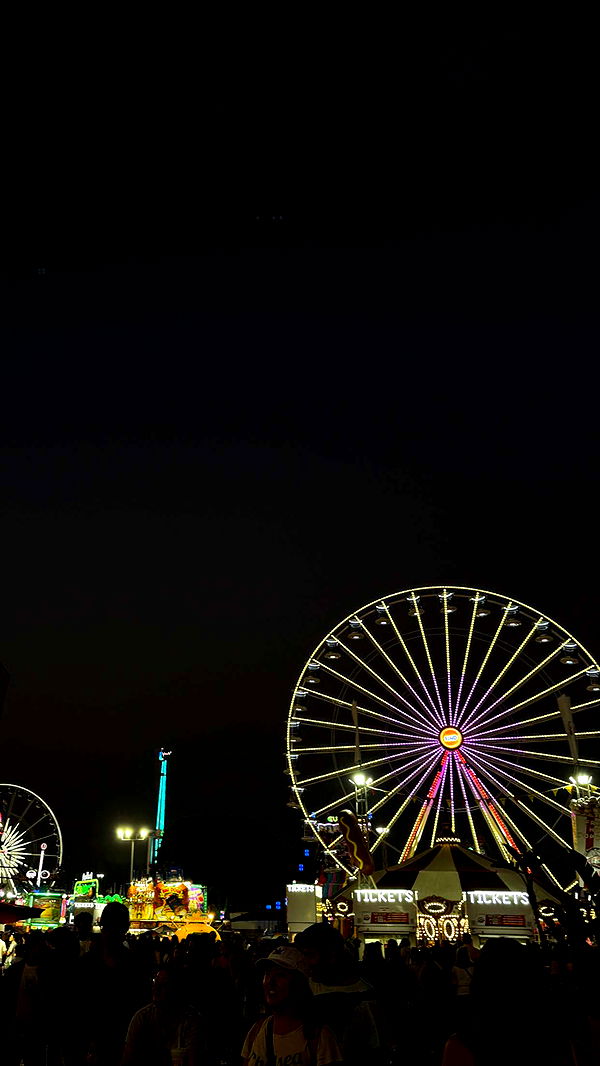 emilyelizabbeth image ~ Altpins