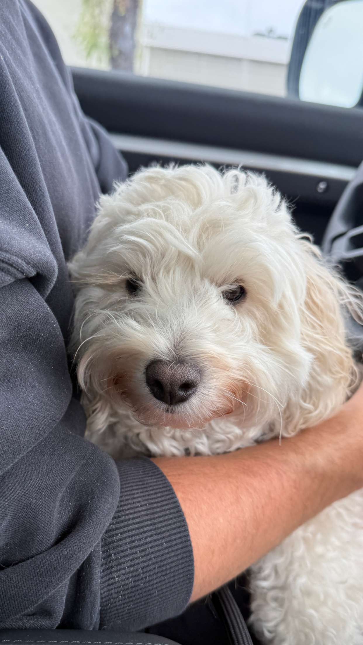 emilyelizabbeth snapchat image archive image